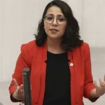 Kadıgil, Hayvanları Koruma Kanunu Teklifi'ni değerlendirdi: "TBMM'nin atanmış bakanlara irade tesliminin somut resmi" 22 CHP’li Kadıgil’den ‘Muktedir bıyıklılar kulübü'ne 8 Mart uyarısı