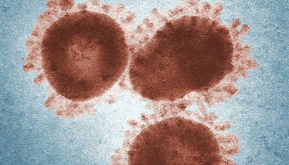 Covid-19 aşıları mutasyonlu virüse etki etmezse ne olacak?