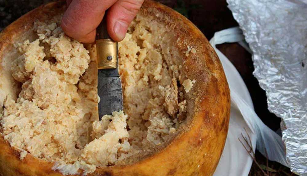 Dünyanın-en-tehlikeli-peyniri--Bu-peyniri-satmanın-cezası-60-bin-dolar!