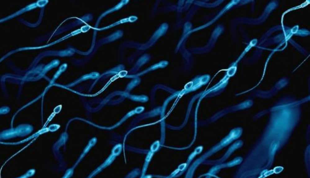 İnsan-nesli-tehlikede--2045-yılında-sperm-sayısı-'0'-olacak