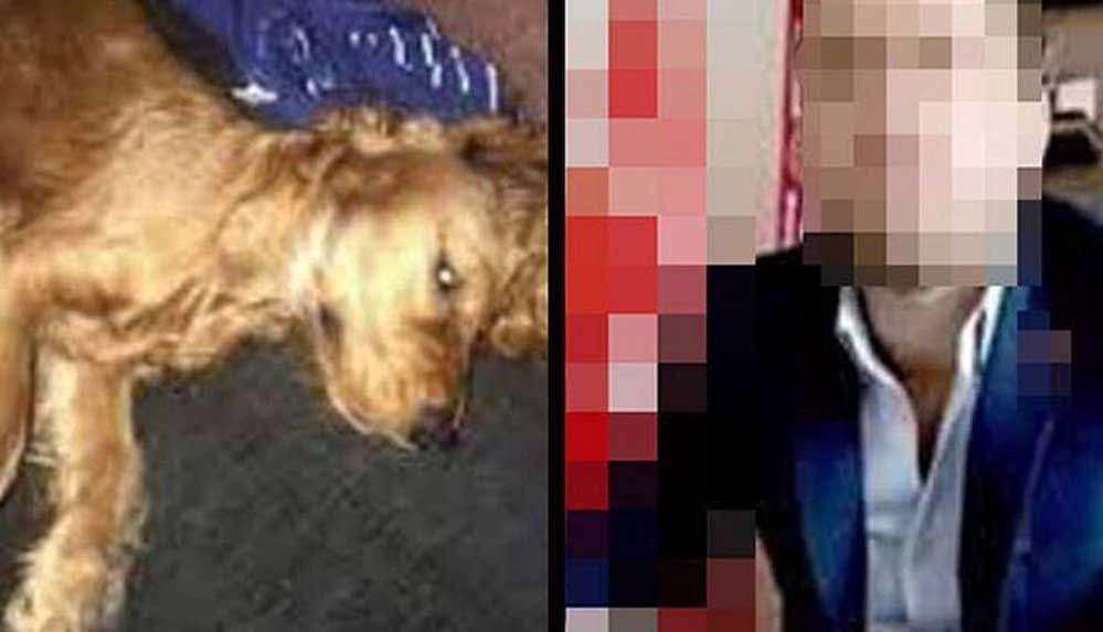 Köpeğe cinsel istismar iddiasıyla gözaltına alınıp serbest bırakılmıştı: 3 yıla kadar hapsi isteniyor