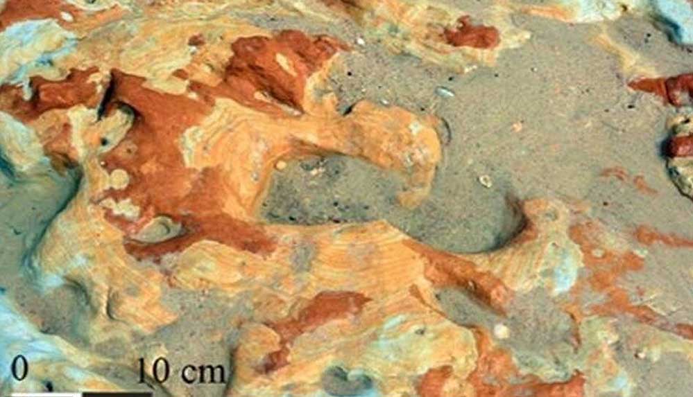 Neandertal çocuğun 100 bin yıllık ayak izleri bulundu