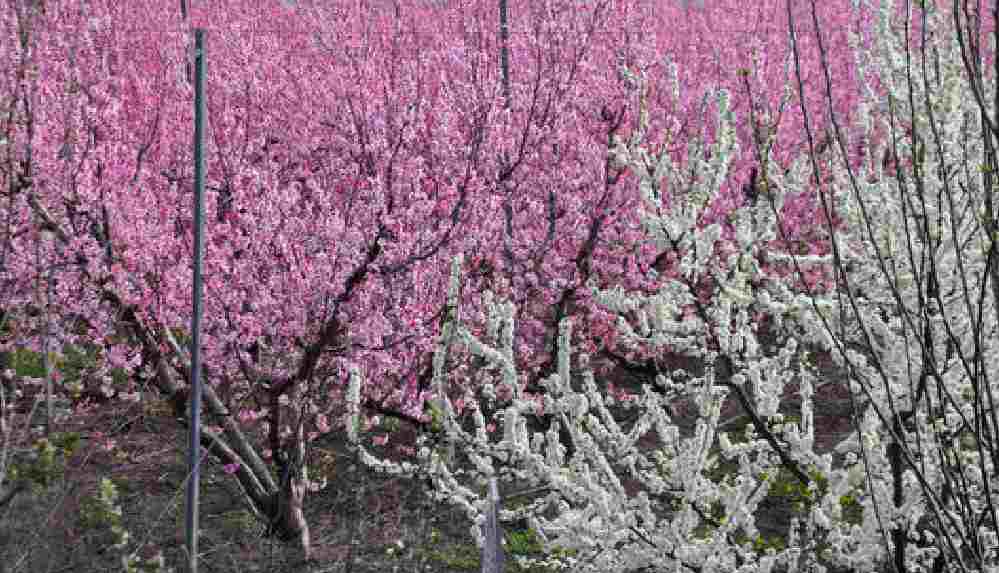 Nevruz anlamı nedir, neden kutlanır_ 2021 Nevruz ne zaman kutlanacak_