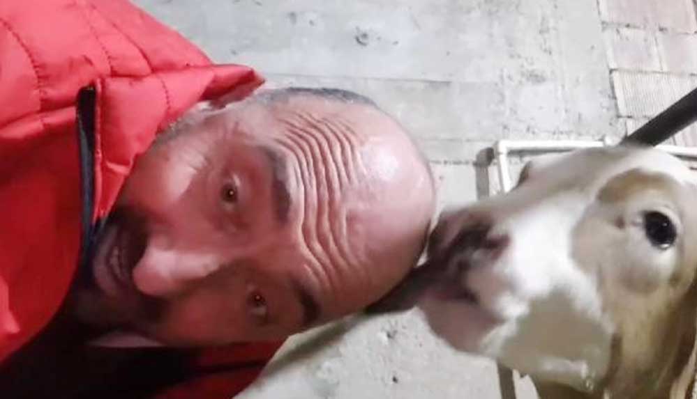 Saçının-çıkması-için-başını-buzağıya-yalattı--Saçım-çıkmış-gibi-hissediyorum