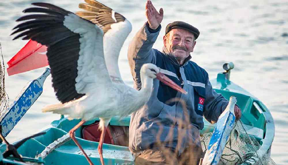 'Yaren Leylek' 10. yılda da Adem Amca ile buluştu_ Evladım gibi, 6 ay boyunca balık tutup yedireceğim