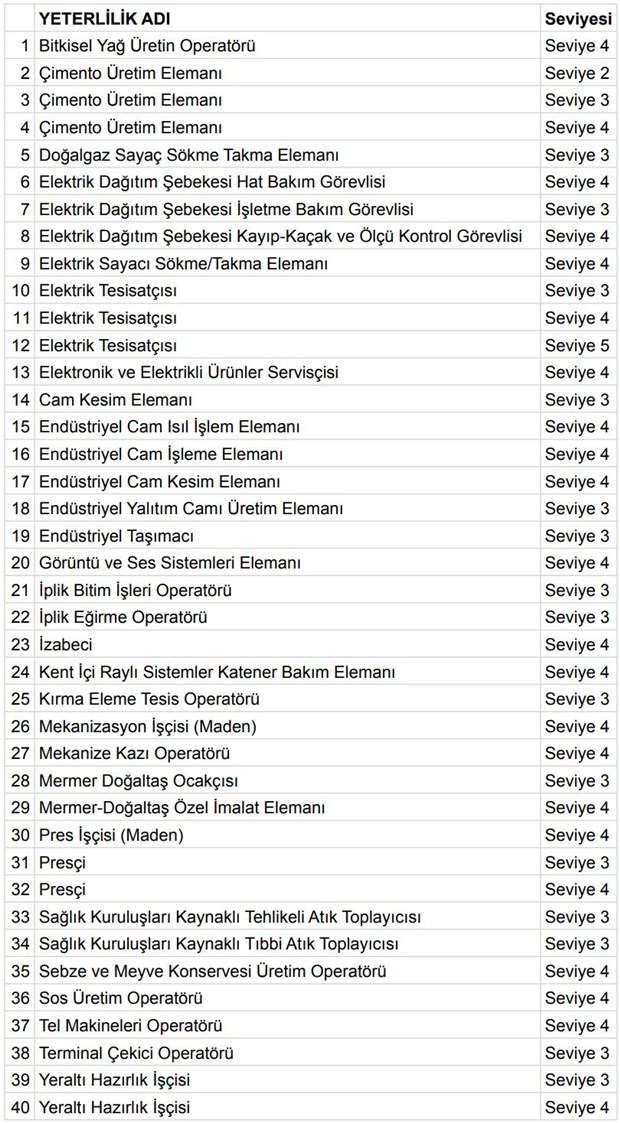 40 mesleğe daha ‘yeterlilik belgesi’ zorunluluğu getirildi
