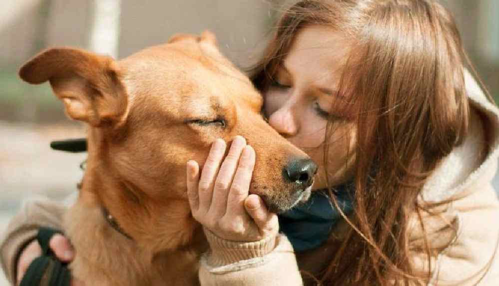 Bilim Kurulu Prof. Dr. Kenan Midilli_ Evcil hayvanlara da bulaşıyor