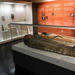 Bilim-insanları-ortaya-koydu--2600-yıllık-Takabuti-cinayeti-aydınlandı