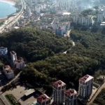 Bir ormanlık alan daha imara açıldı