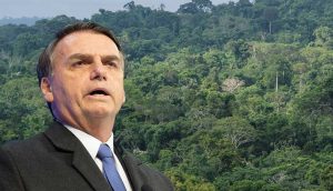 Brezilya Devlet Başkanı Bolsonaro'dan 2030'a kadar yasa dışı ormansızlaşmayı bitirme sözü