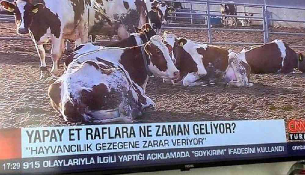 CNN Türk'ün 'yapay et' haberine büyük tepki
