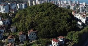 Ordu Fatsa’da Çerkezler Tepesi Erdoğan’ın kararıyla imara açılmıştı, ağaç kesimi başladı