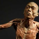 Hırvatistan'da-insan-vücudunun-işleyişini-anlatan-sergi-gerçekliğiyle-görenlerin-ilgisini-çekiyor