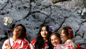 Japon kiraz çiçekleri küresel ısınma yüzünden şaştı: 1200 yıllık kayıtlardaki en erken tarihte açtılar