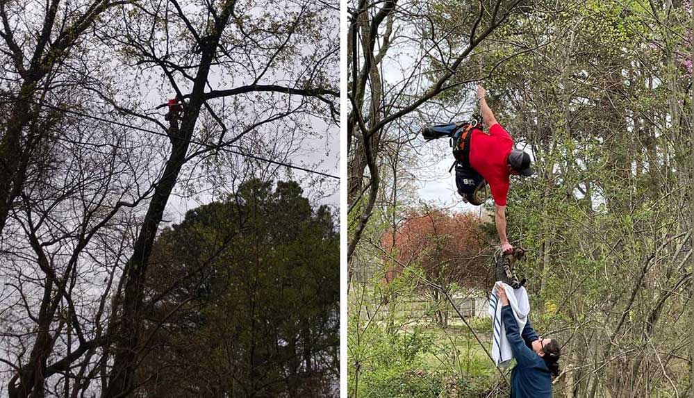 Kurtarmaya-çalıştıkça-yukarı-tırmanan-kedi-18-gün-sonra-kurtarıldı