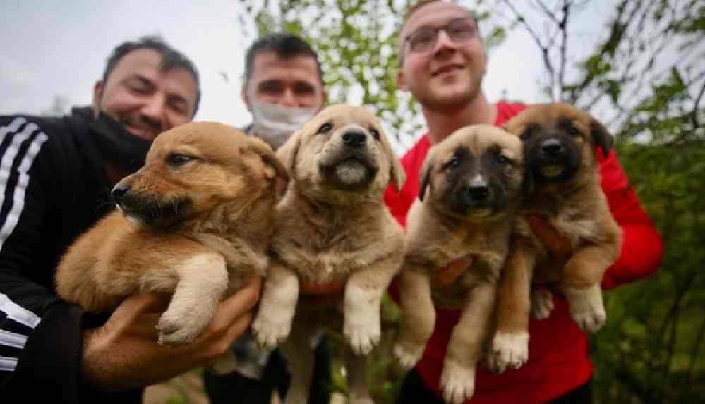 Sokak hayvanlarına yiyecek ulaştıran milli sporculardan _İyilik hareketine var mısınız__ kampanyası