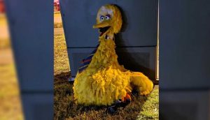 Susam Sokağı hırsızlığı: 160 bin dolarlık Minik Kuş kostümünü çalanlar yakalandı