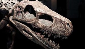 Bilim insanları Şili’de yeni bir dinozor türü keşfetti