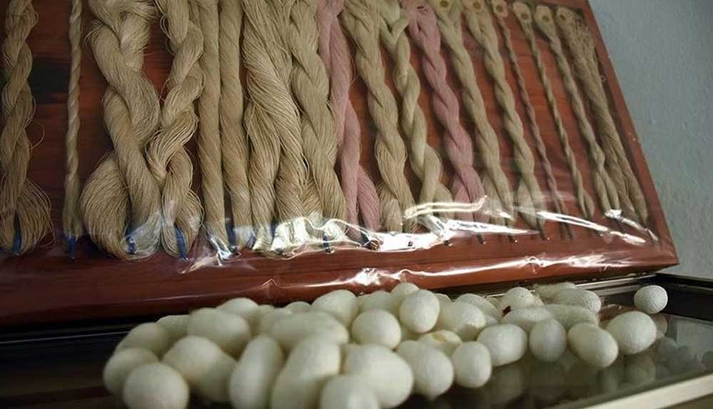 Türkiye'nin üç geleneksel mirası daha UNESCO adayı