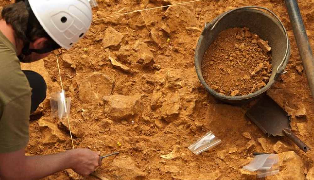 Yamyamlığa kurban giden 800 bin yıllık insan kalıntısının cinsiyeti yeniden saptandı