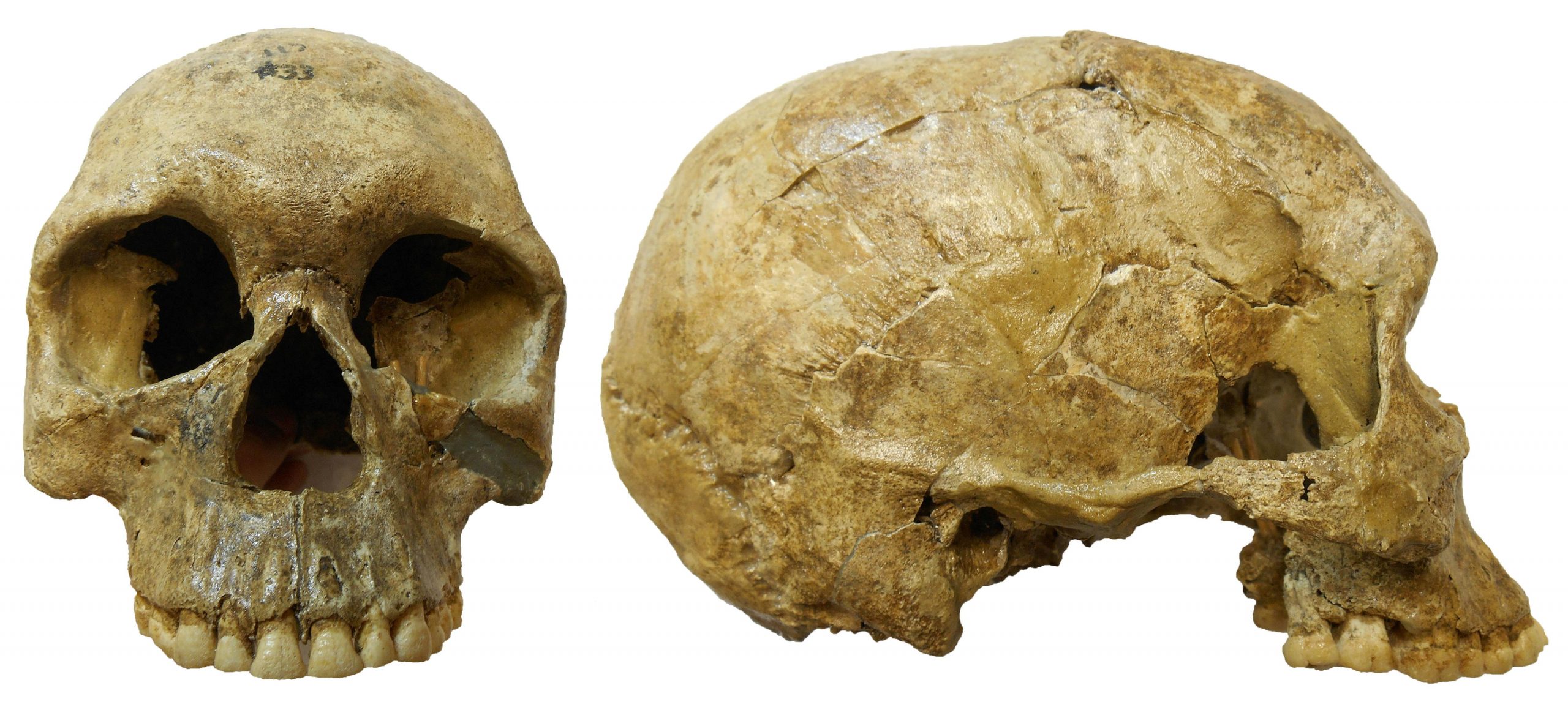 En eski savaşlardan birinin ardından iklim değişikliği çıktı