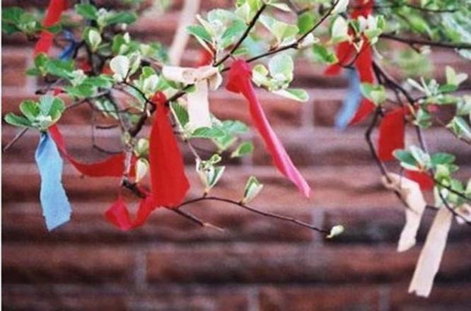 Hıdırellez ne demek? Hıdırellez nasıl ortaya çıktı?