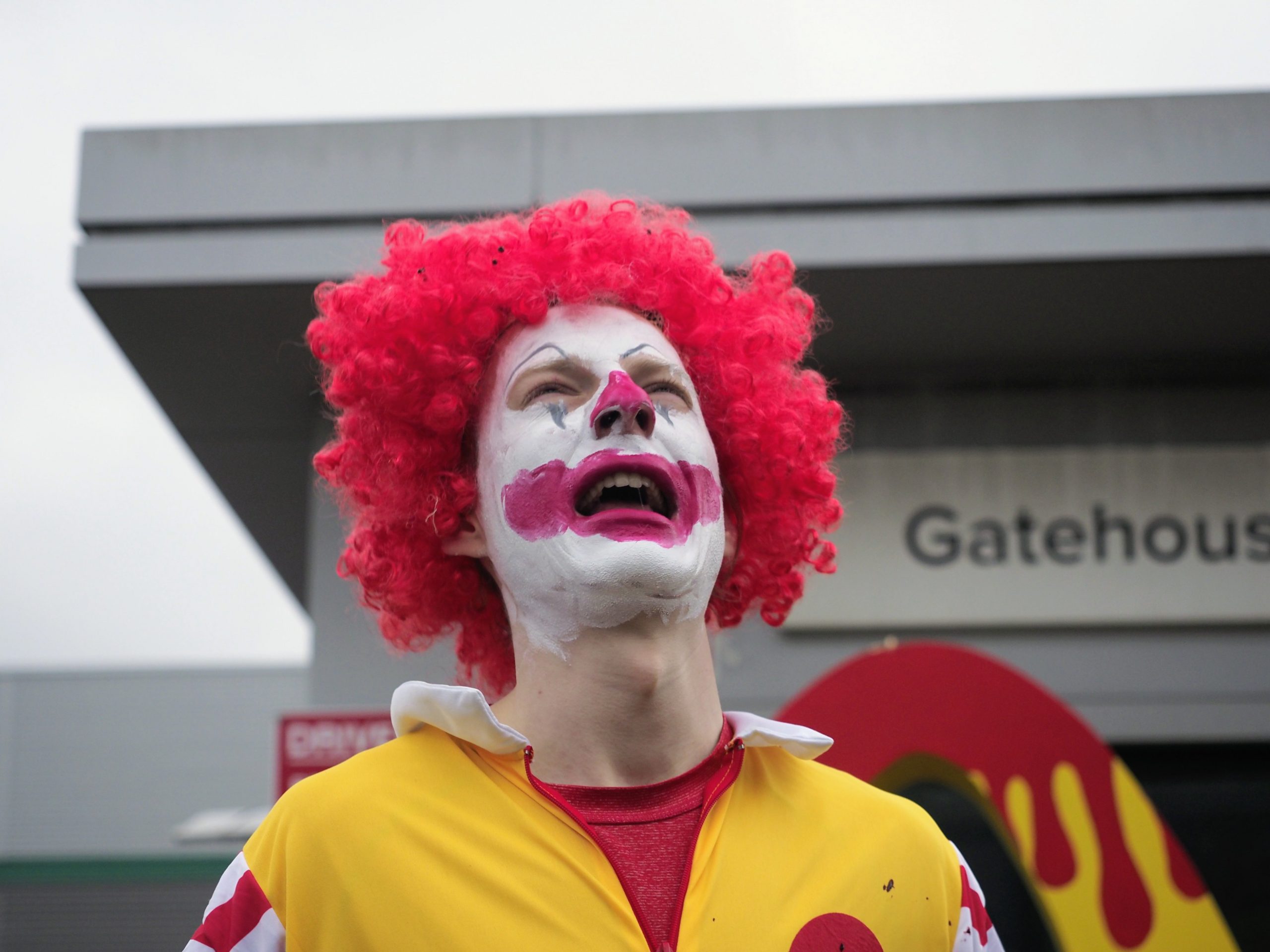 Hayvan hakları savunucuları ülkedeki 1300 McDonald's restoranına ürün dağıtımını engelledi