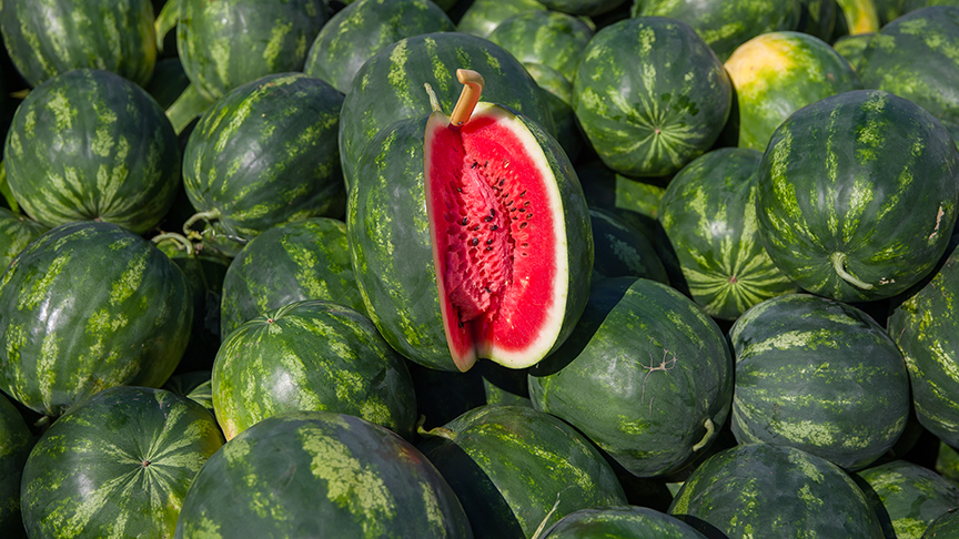 İyi karpuz nasıl seçilir? Kelek karpuz nasıl anlaşılır?