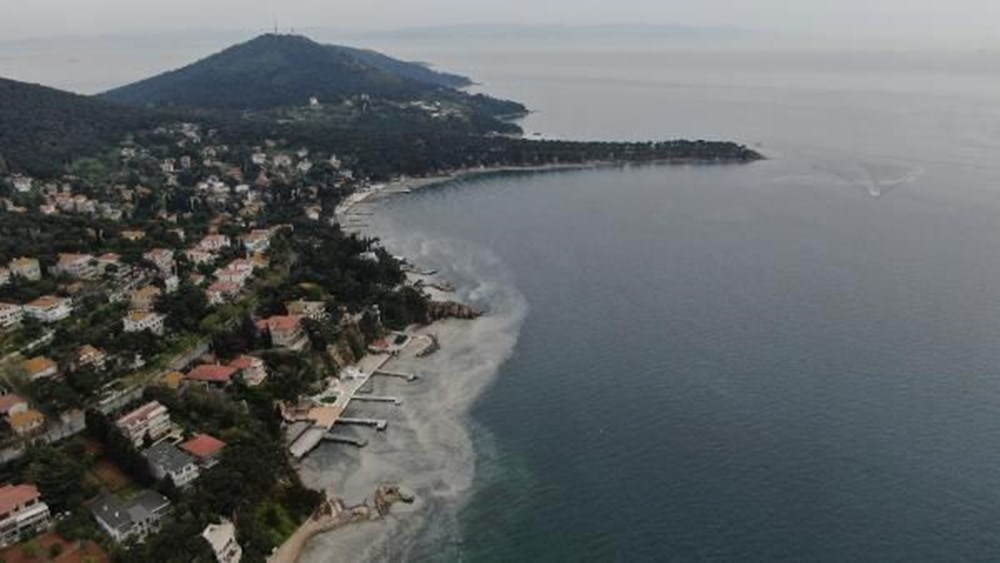 Büyükada'yı 'salya' sardı: "Kokudan duramıyoruz"