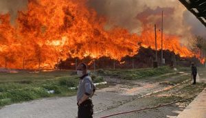 Afyonkarahisar'da biyokütle enerji santralinde yangın