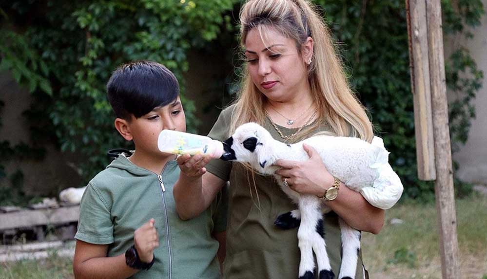 Annesinin-kabullenmediği-kuzuya-'bebek'-gibi-bakıyorlar-1