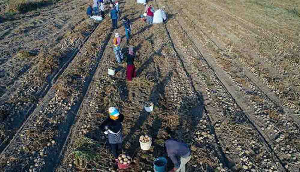 Bakan Pakdemirli: Tarım işçilerimiz kademeli olarak aşılanacak