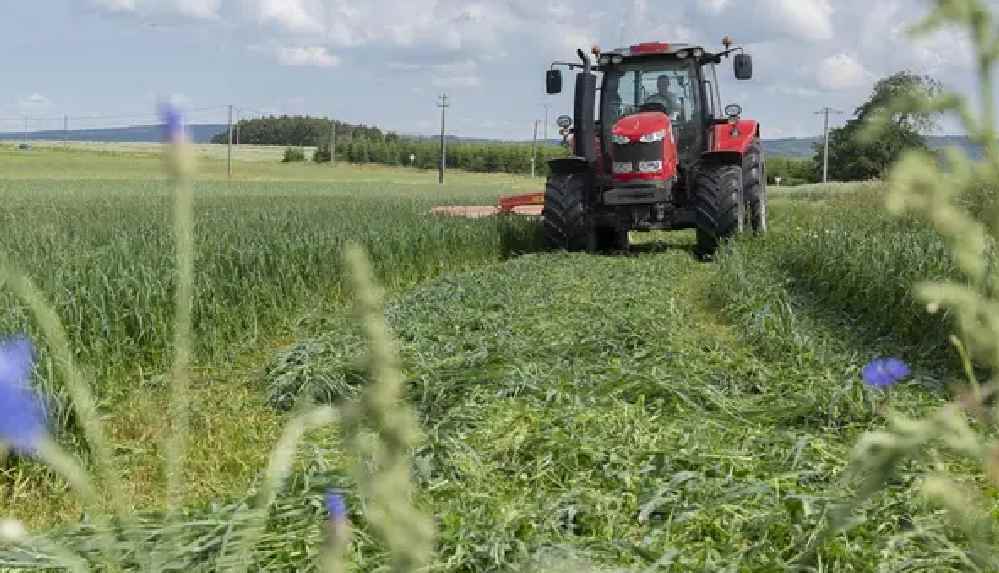 Belçikalı çiftçi, yanlışlıkla ülkesinin Fransa sınırını değiştirdi