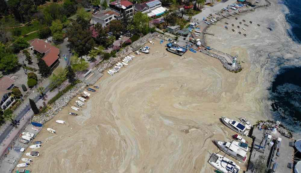 Büyükada'yı 'salya' sardı_ _Kokudan duramıyoruz_ (1)