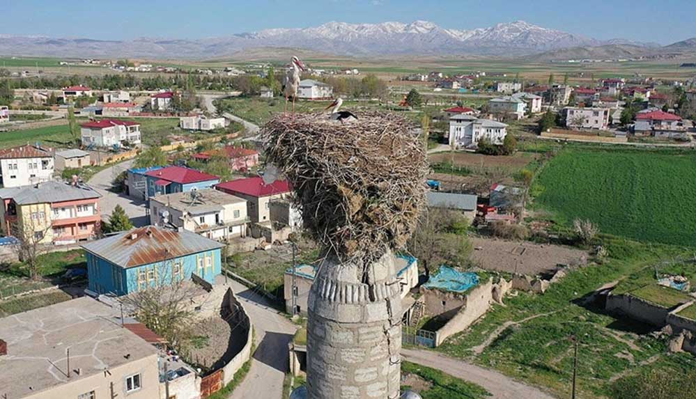 Çiçekli köyü camisindeki yuva leyleklerin 62 yıldır değişmeyen adresi oldu