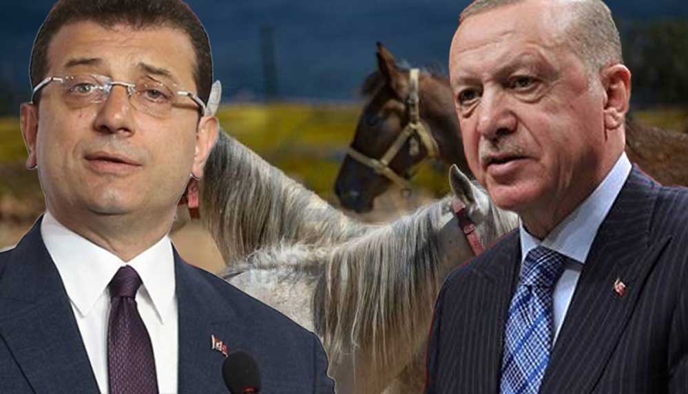 CHP'den, Erdoğan’a 'kayıp atlar' yanıtı: Yalana başvuracak kadar acziyete düşmüştür