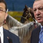 CHP'den,-Erdoğan’a-'kayıp-atlar'-yanıtı--Yalana-başvuracak-kadar-acziyete-düşmüştür