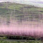 Çıldır Gölü sazlığında binlerce sineğin dansı kameralara yansıdı