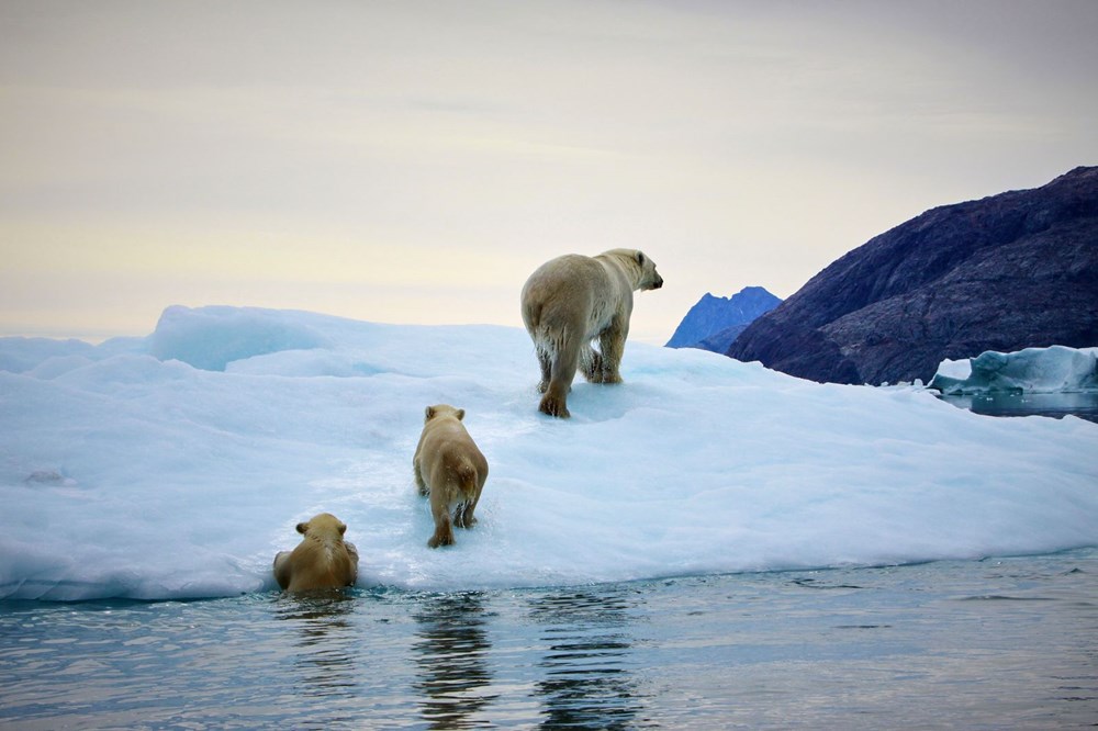 Uzmanlar açıkladı: Grönland buz tabakasında erime durdurulamaz seviyede