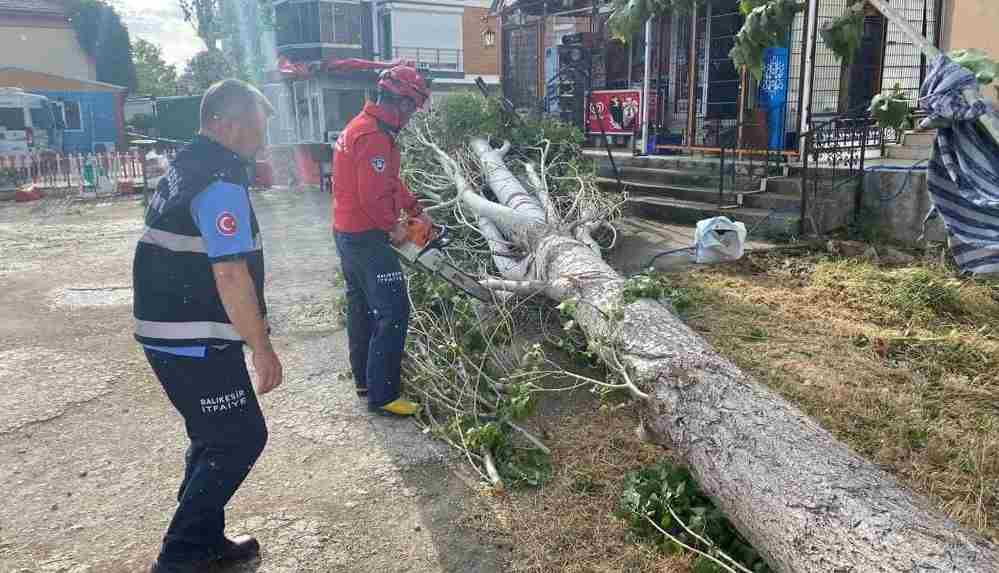 Fırtına, Ayvalık'ı vurdu!