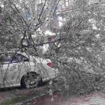 Fırtına, Ayvalık'ı vurdu!