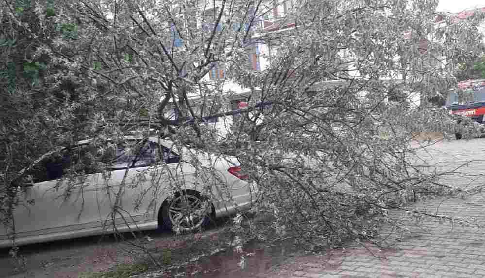 Fırtına, Ayvalık'ı vurdu!