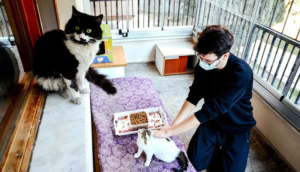 Hayvansever lise öğrencisi harçlıklarıyla sokaklardaki 'can dostları'nı besliyor