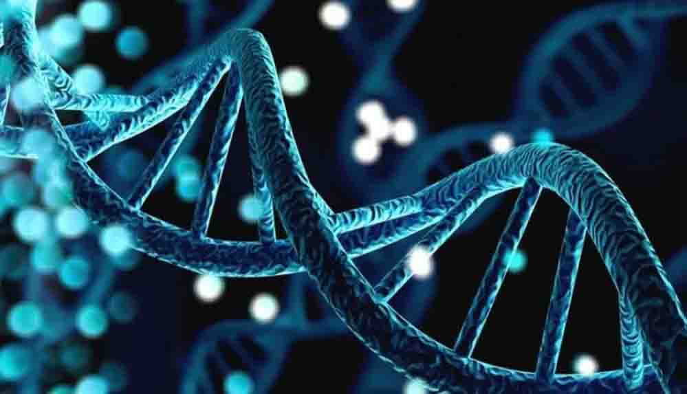 İnsan ömrünün sınırı tespit edildi