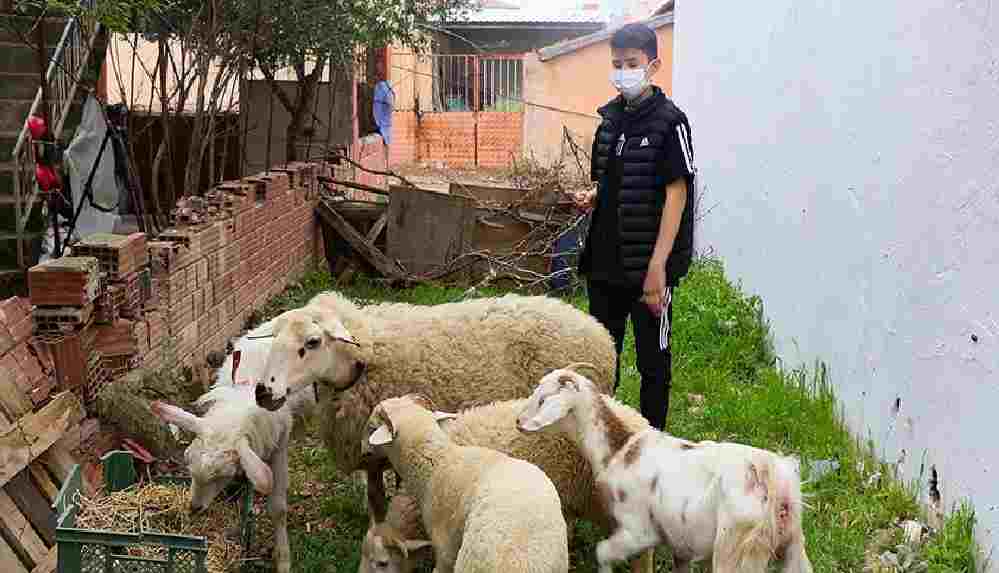 İzmir depreminde enkaz altından 10 saat sonra kurtarılan Günay doğayla iç içe bir yaşam kurdu