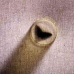 Kadın akademisyenler Amanoslar'da gece kelebeklerinin izini sürüyor 12 Kadın akademisyenler Amanoslar'da gece kelebeklerinin izini sürüyor