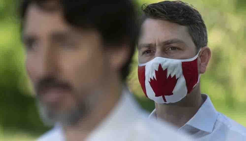 Kanadalı siyasetçi uzaktan gerçekleştirilen görüntülü meclis oturumunda idrarını yaptığı için özür diledi