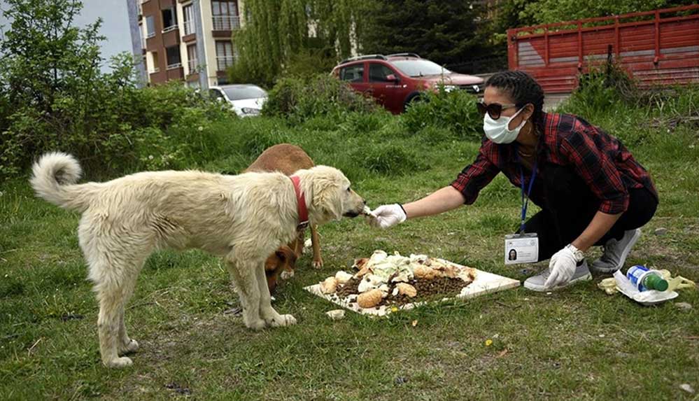 Kısıtlama-döneminde-sokak-hayvanları-aç-kalmasın-diye-seferber-oldu