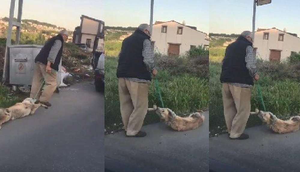 Köpeği boğazından bağlayarak sürükledi: Serbest bırakıldı