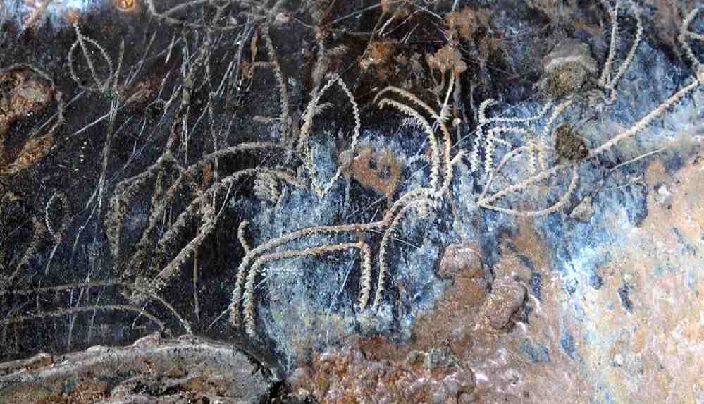 Mersin'deki mağarada 8 bin yıllık kaya resimleri